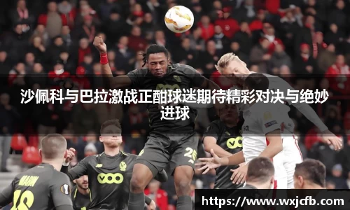 沙佩科与巴拉激战正酣球迷期待精彩对决与绝妙进球