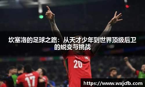 坎塞洛的足球之路：从天才少年到世界顶级后卫的蜕变与挑战